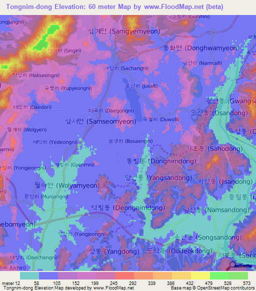 Tongnim-dong,South Korea Elevation Map