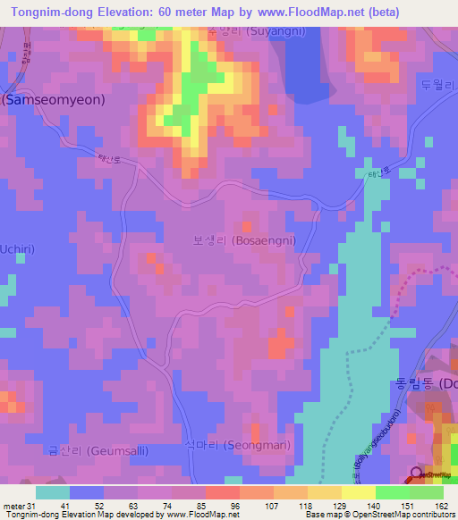 Tongnim-dong,South Korea Elevation Map