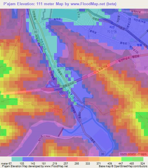 P'ajam,South Korea Elevation Map