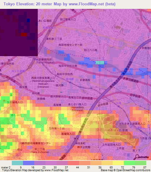 Tokyo,Japan Elevation Map