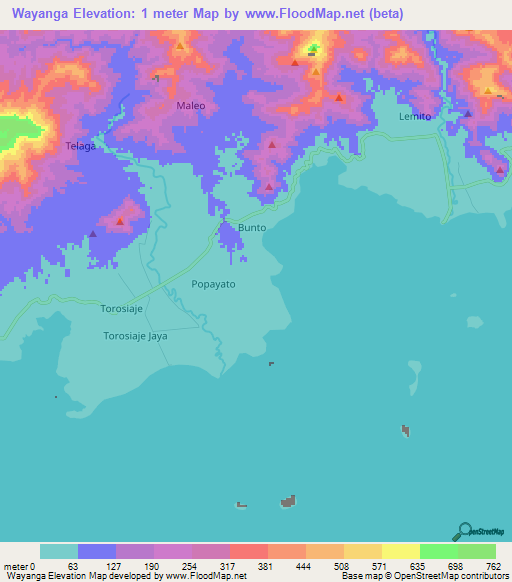 Wayanga,Indonesia Elevation Map