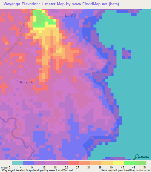 Wayanga,Indonesia Elevation Map