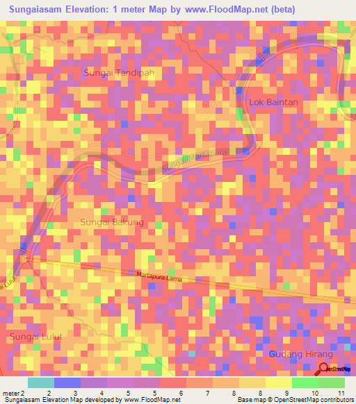 Sungaiasam,Indonesia Elevation Map