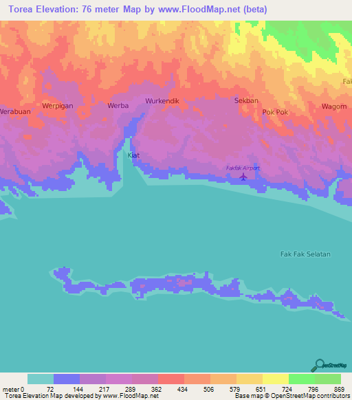 Torea,Indonesia Elevation Map