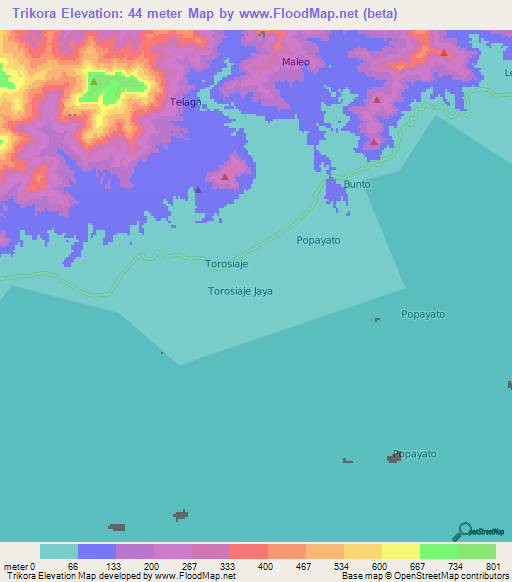 Trikora,Indonesia Elevation Map