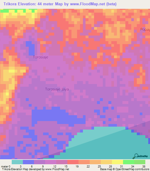 Trikora,Indonesia Elevation Map