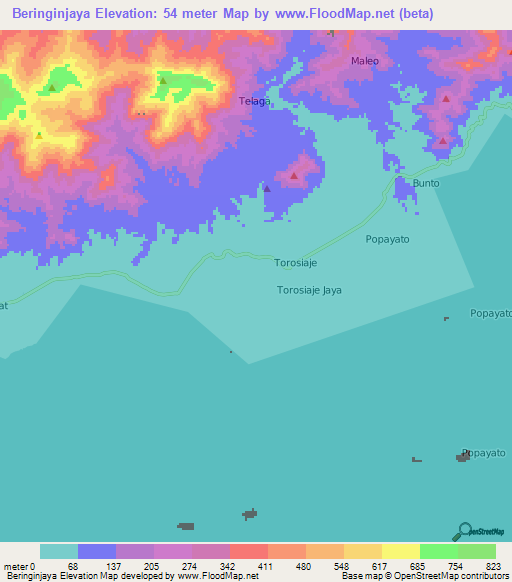 Beringinjaya,Indonesia Elevation Map