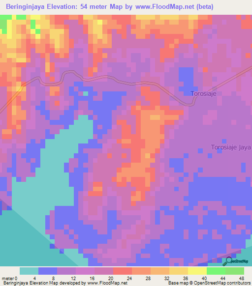 Beringinjaya,Indonesia Elevation Map