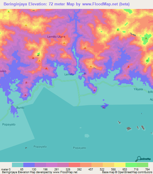 Beringinjaya,Indonesia Elevation Map