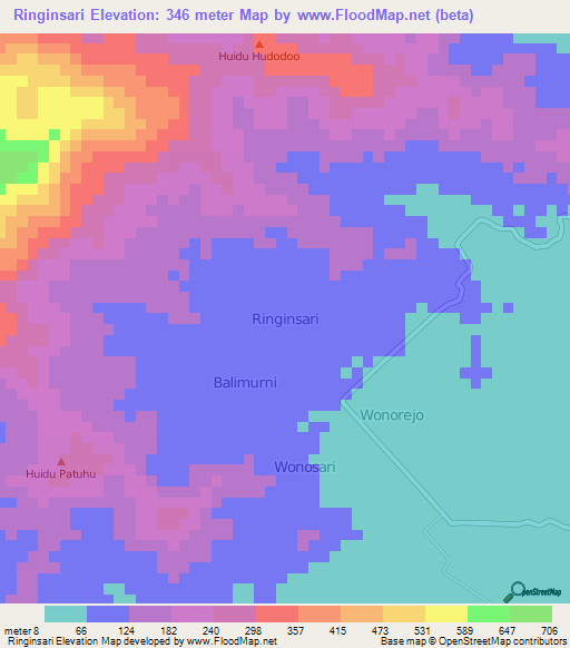 Ringinsari,Indonesia Elevation Map