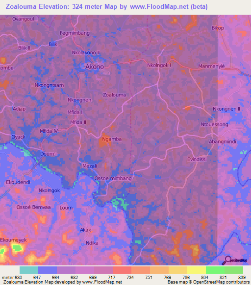 Zoalouma,Cameroon Elevation Map