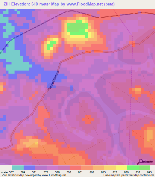 Zili,Cameroon Elevation Map