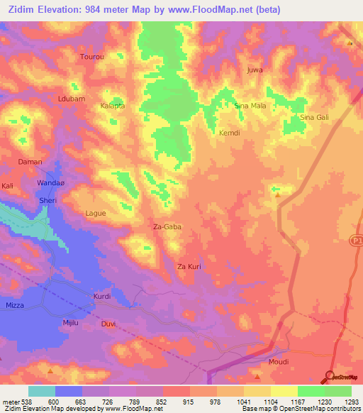 Zidim,Cameroon Elevation Map