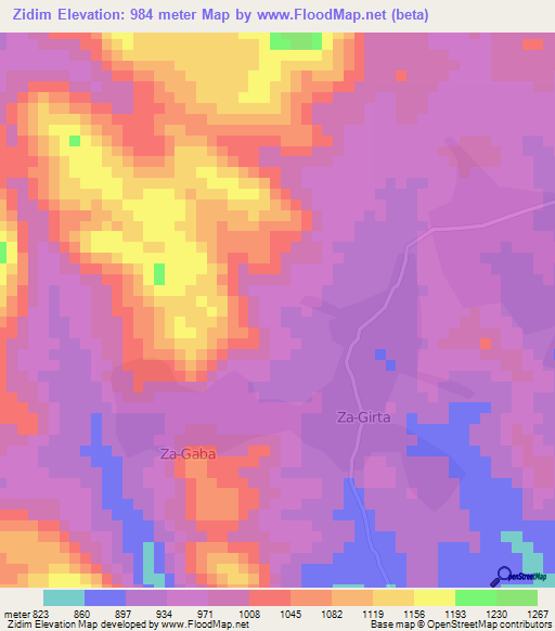 Zidim,Cameroon Elevation Map