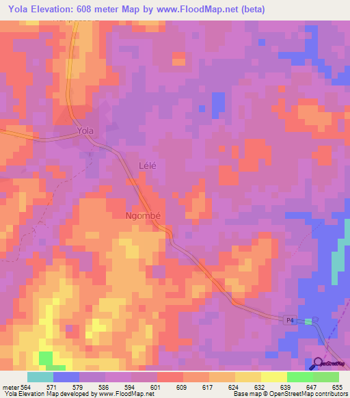 Yola,Cameroon Elevation Map