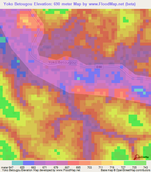 Yoko Betougou,Cameroon Elevation Map