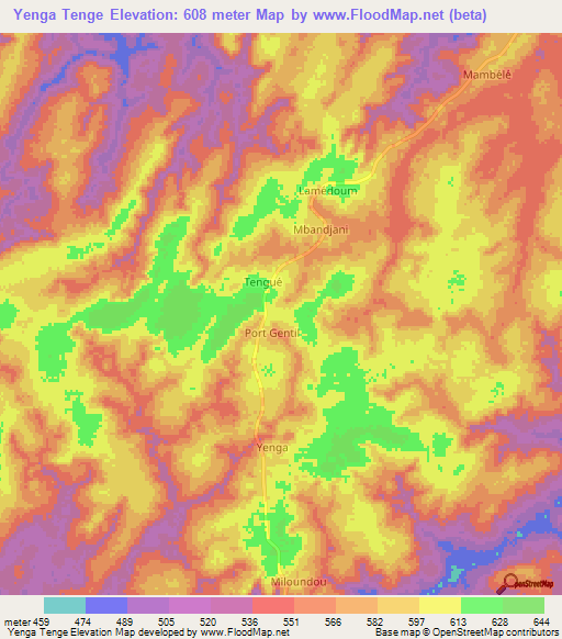 Yenga Tenge,Cameroon Elevation Map