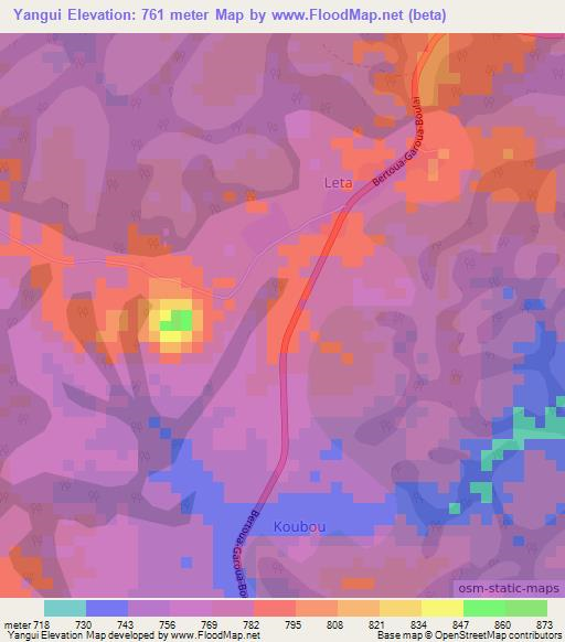 Yangui,Cameroon Elevation Map