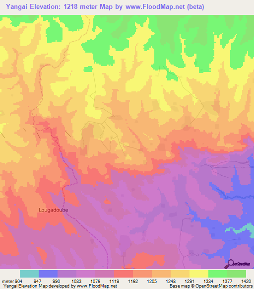 Yangai,Cameroon Elevation Map