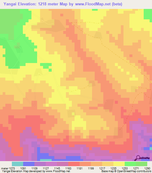 Yangai,Cameroon Elevation Map