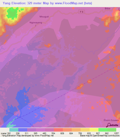 Yang,Cameroon Elevation Map