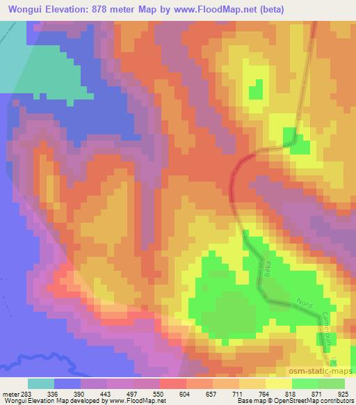 Wongui,Cameroon Elevation Map