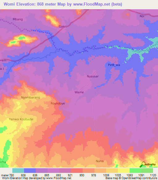 Womi,Cameroon Elevation Map