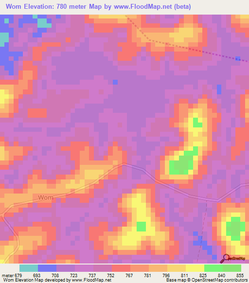 Wom,Cameroon Elevation Map