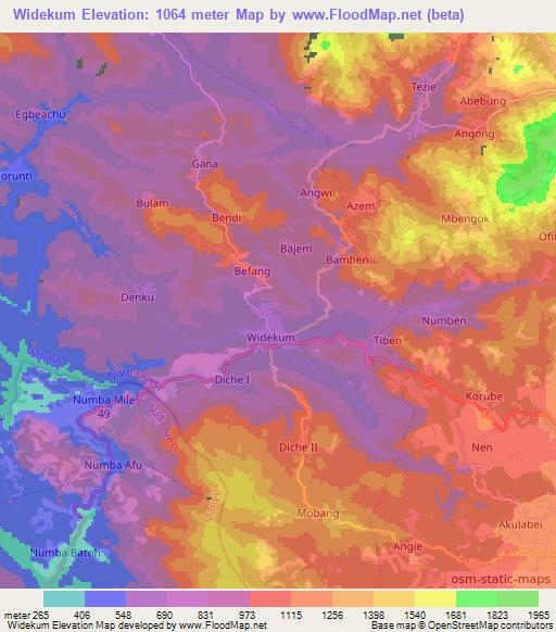 Widekum,Cameroon Elevation Map