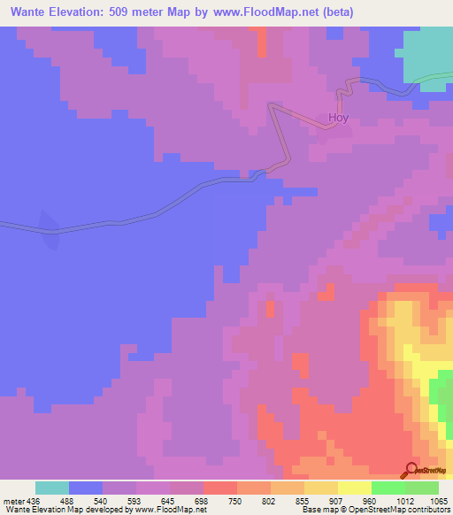 Wante,Cameroon Elevation Map