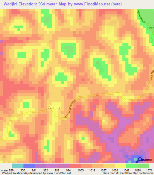 Wadjiri,Cameroon Elevation Map