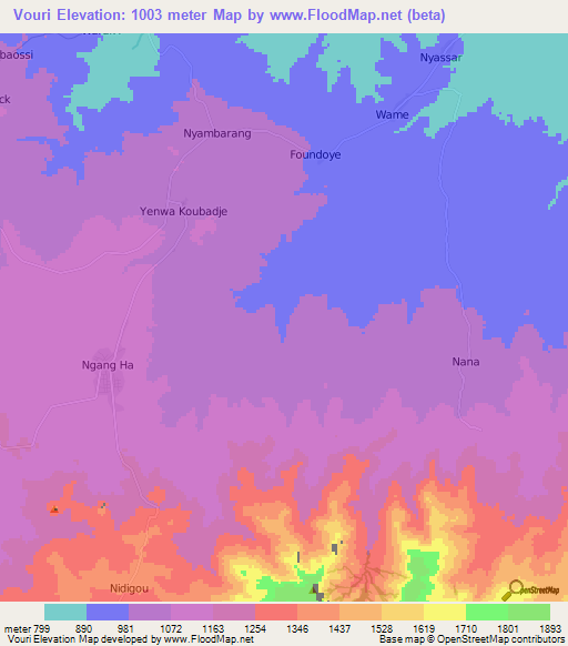 Vouri,Cameroon Elevation Map