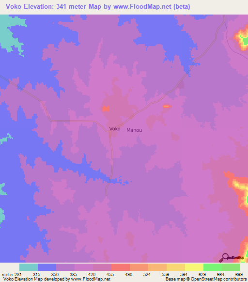 Voko,Cameroon Elevation Map