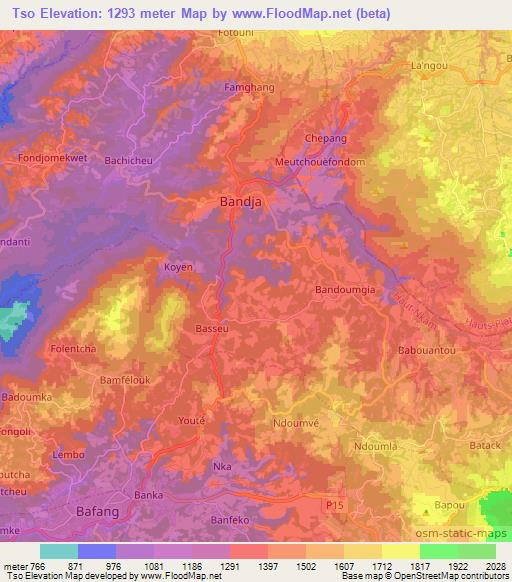 Tso,Cameroon Elevation Map