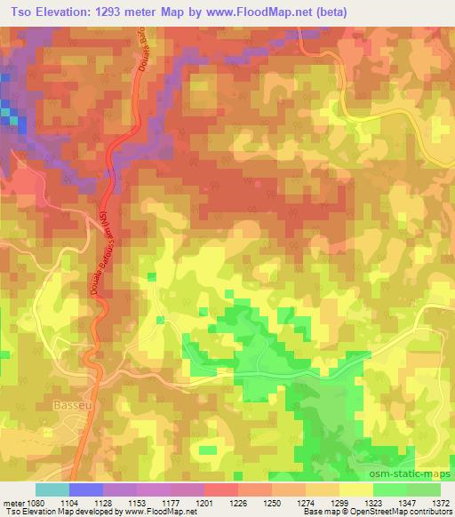 Tso,Cameroon Elevation Map