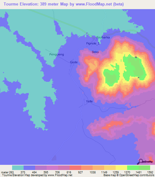 Tourme,Cameroon Elevation Map