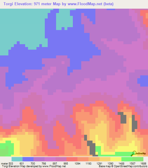 Torgi,Cameroon Elevation Map