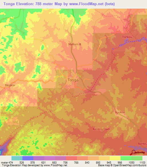 Tonga,Cameroon Elevation Map