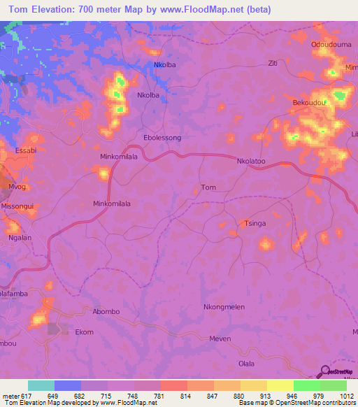 Tom,Cameroon Elevation Map