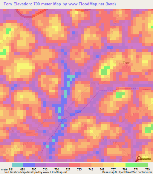 Tom,Cameroon Elevation Map