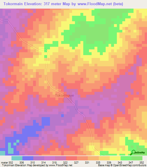 Tokormain,Cameroon Elevation Map