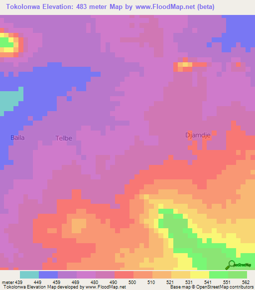 Tokolonwa,Cameroon Elevation Map