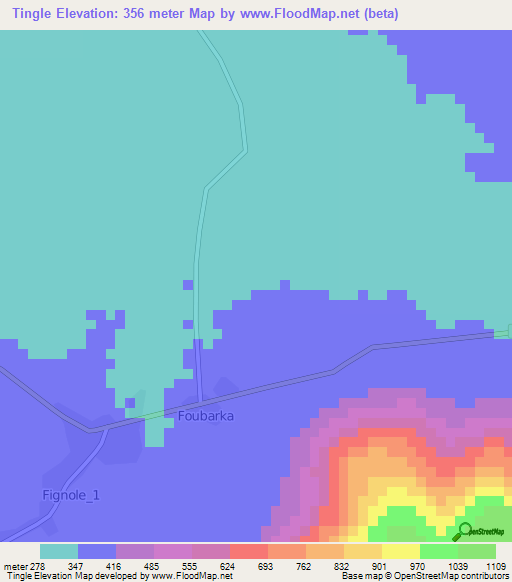 Tingle,Cameroon Elevation Map