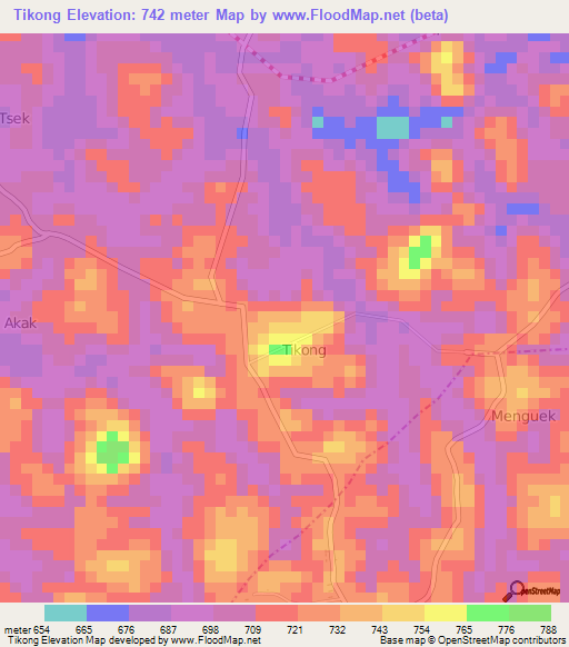 Tikong,Cameroon Elevation Map