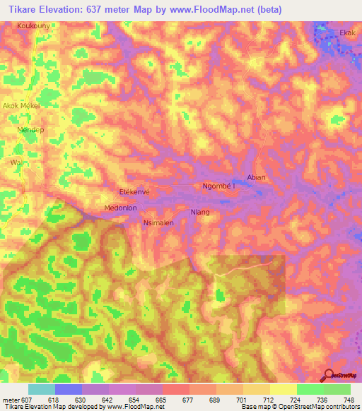 Tikare,Cameroon Elevation Map