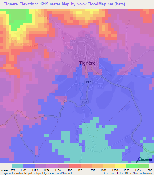 Tignere,Cameroon Elevation Map