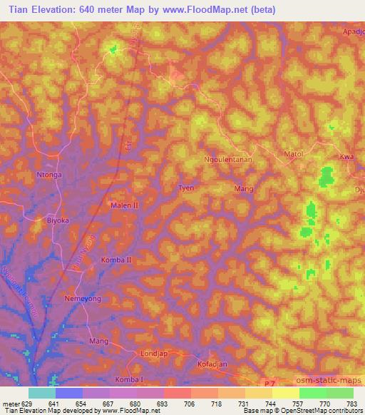 Tian,Cameroon Elevation Map