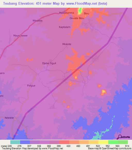 Teubang,Cameroon Elevation Map