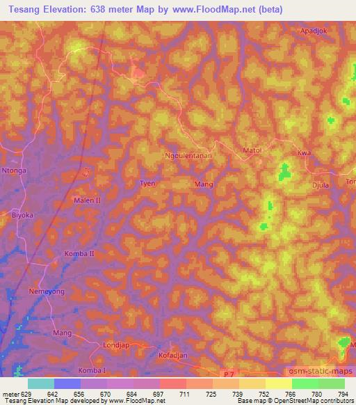 Tesang,Cameroon Elevation Map