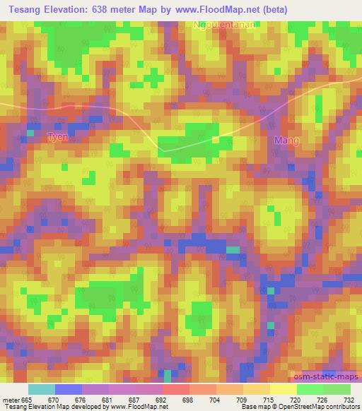 Tesang,Cameroon Elevation Map